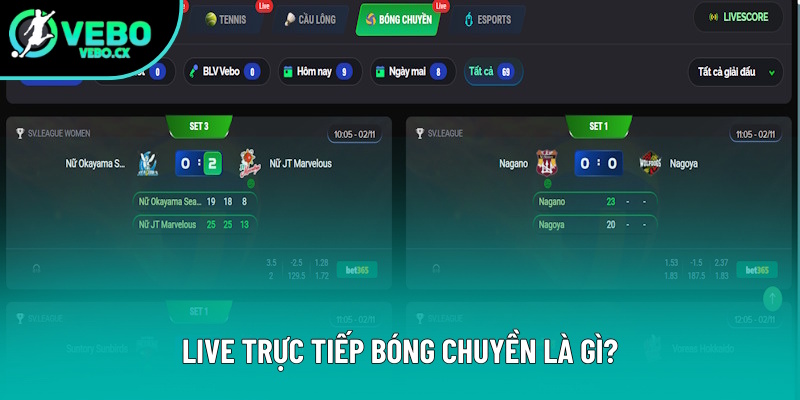 Giải thích live trực tiếp bóng chuyền Giải thích live trực tiếp bóng chuyền