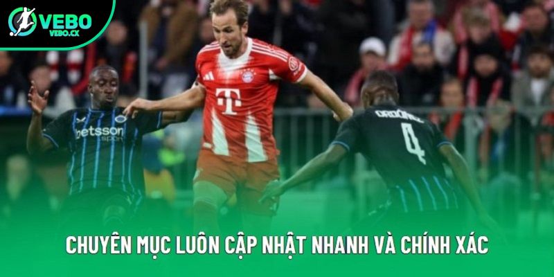 Chuyên mục luôn cập nhật nhanh và chính xác